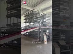 Sistema automatizado de aves com gaiola de frango tipo H