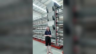 Sistema automático de gaiola para frangos de corte/camadas maximiza os lucros da avicultura