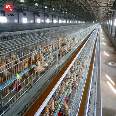 4 Tier Battery Broiler Chicken Cage A Type In Philippines Automatic