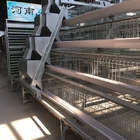 3 Tiers / 4 Tiers Hen Coop Layer Chicken Cage System A Type