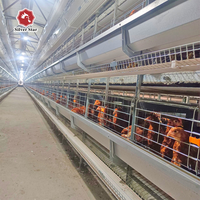 4-Tier Fully Automated Layer H-Type Fully Automatic Layer Cage: Revolutionizing Poultry Farming Efficiency