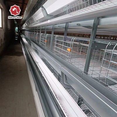 4-Tier Fully Automated Layer H-Type Fully Automatic Layer Cage: Revolutionizing Poultry Farming Efficiency