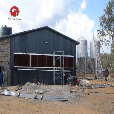 Automatic Egg Collection Hot-Dip Galvanized Battery Chicken Cage with Computerized Control System for Poultry Farming