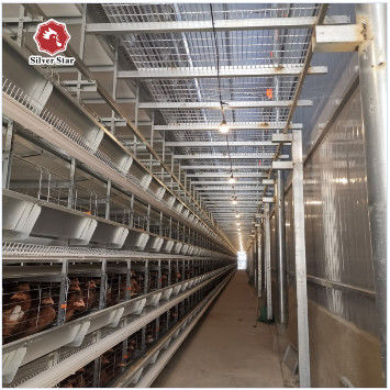 Commercial H-Type Layer Cage from Reliable Supplier & Manufacturer | Safe Delivery & Container Loading