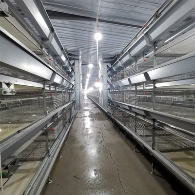 Hot Galvanized Wire Mesh Broiler Chicken Cage H Type