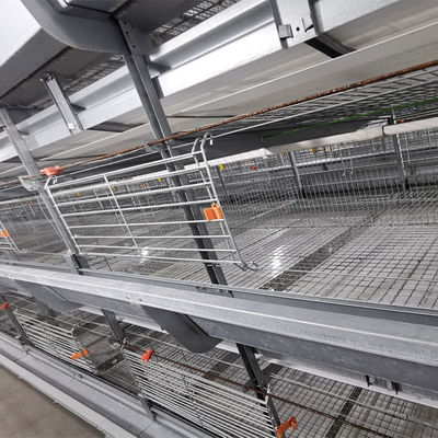 Automated H-Type Broiler Cage System - High-Density Hot-Dip Galvanized Poultry Farming Equipment