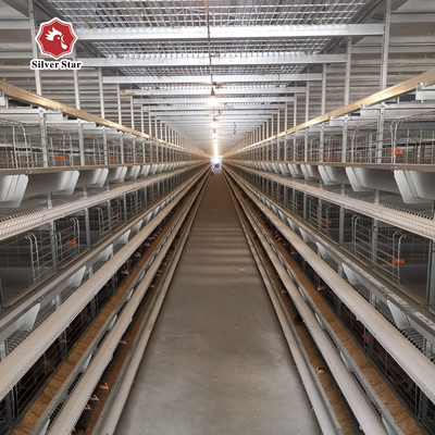 U Type Q235 Metal Cage For Chickens , 3-8 Tiers H Type Poultry Chicken Cage