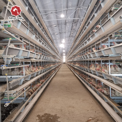 108-144Birds Poultry Cage 3-4Layers Broiler Raising Equipment