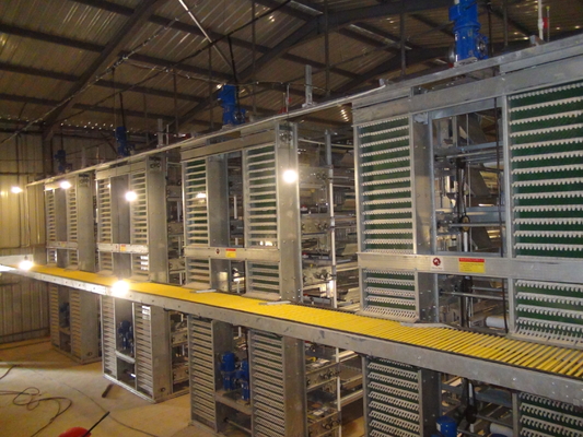 380V 3 Phase Farm Layer Chicken Cage Poultry H Type Layer Cage
