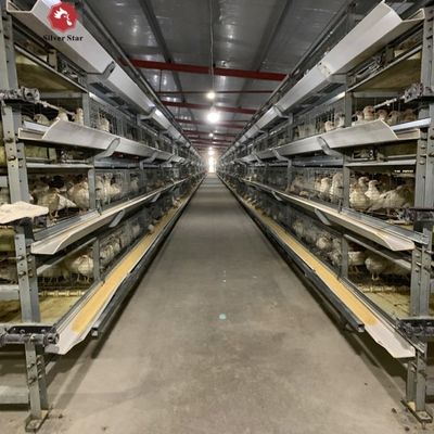Sistema automático de gaiolas de bateria para frangos de corte do tipo H para fazendas comerciais de frango de carne com quadro galvanizado a quente e configuração de 3-4 níveis