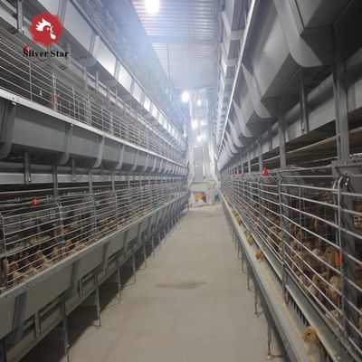 Automated H-Type Broiler Cage System Hot-Dip Galvanized Full Automatic High-Density Poultry Farming Equipment