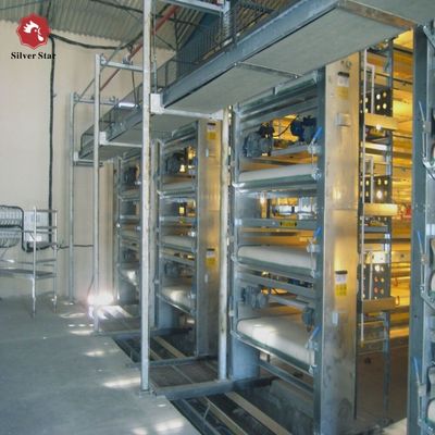 Sistema de gaiolas de frangos de carne de tipo H de engenharia de precisão