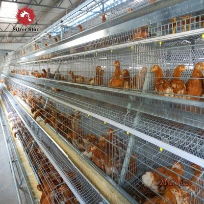 A-Type Broiler Battery Cage System for Poultry Farm Hot-Dip Galvanized A-Type Broiler Cage Manufacturer