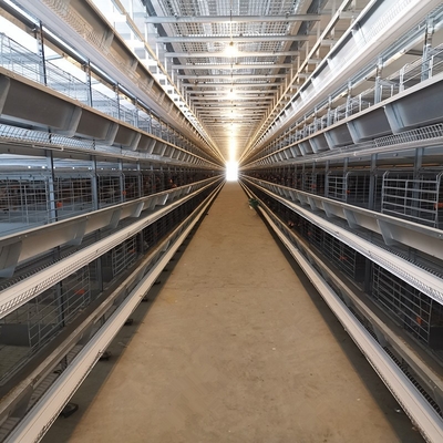 H Type Animal Layer Chicken Cages 2mm For Poultry Farm 8 Leves / Floors