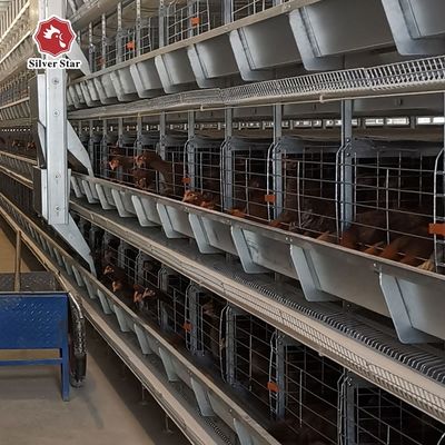 Sistema automático de gaiolas de bateria de camada H-Type para explorações de aves de capoeira comerciais - galvanizado a quente, coleta automática de ovos, 15-20 anos de vida útil