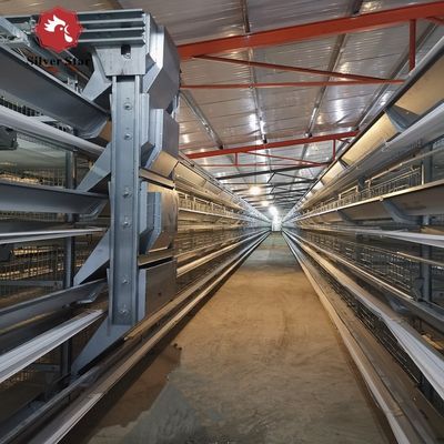 Gaiolas de Bateria Industriais Tipo H com Suporte de Engenharia no Exterior