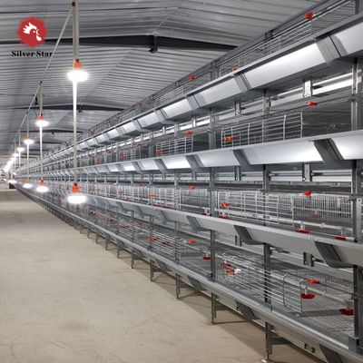Sistema de gaiolas de frango tipo H com galvanização a quente para reprodução de alta densidade e alimentação automática