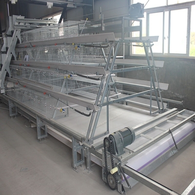 Long Time A Type Farm Chicken Battery Cages For Layers Double Cold Galvanized