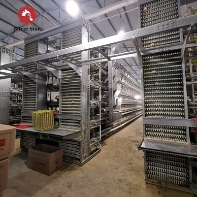 Sistema Automático de Gaiolas de Bateria Tipo H para Granjas Comerciais de Frangos de Corte
