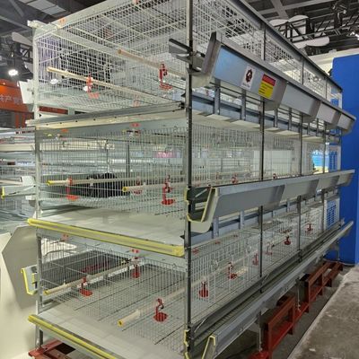 Sistema Automático de Gaiola de Criação de Pintinhos Tipo H com Galvanização a Quente e Capacidade para 100-300 Pintinhos/conjunto