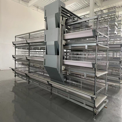 4-Tier Fully Automated Layer H-Type Fully Automatic Layer Cage: Revolutionizing Poultry Farming Efficiency