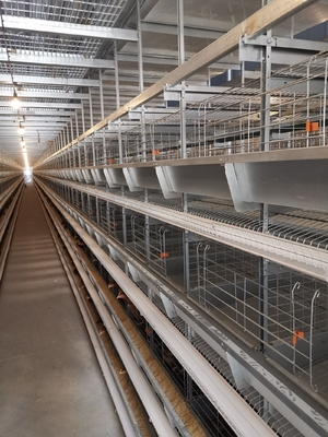 H Type Full Automatic Egg Layer Chicken Cage Hot Dip Galvanized Material