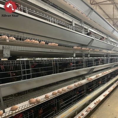 Caixas de frango de camada comercial de alto rendimento do tipo H com controlo automático do clima