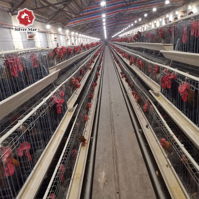 Sistema automático de alimentação e bebida de aves de capoeira de aço galvanizado a quente de alta capacidade para gaiola de galinha de camada