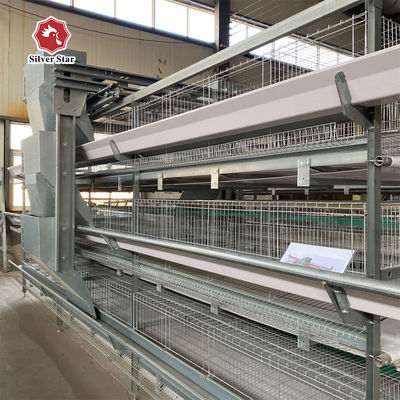 Layer Chicken Cage Manufacturer Automatic Feeding & Drinking System For Egg Layer Chicken
