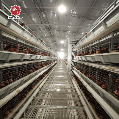 Caixa de frango galvanizada a quente de camada do tipo H com alimentação automática para projeto de grande fazenda de aves de capoeira