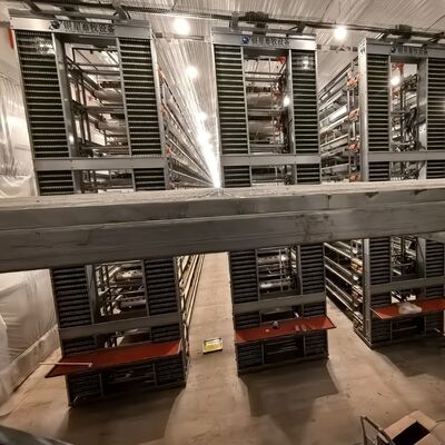 Gaiola de Galinha Bateria Pesada Projetada para Otimizar a Produção de Ovos e Melhorar a Saúde das Aves em Granjas Comerciais