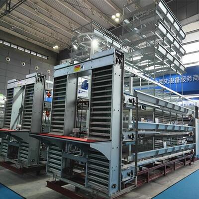 Sistema automático de gaiolas de bateria de frangos de corte tipo H com galvanização a quente e design modular empilhável para fazendas comerciais de frangos de carne