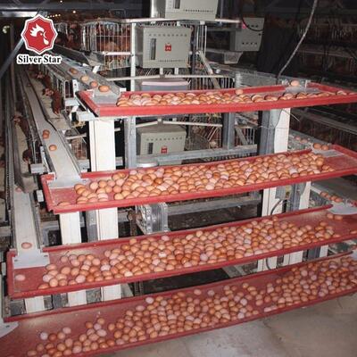 Sistema de gaiola de bateria de camada tipo A de aço galvanizado por imersão a quente com 3 camadas e alimentação automática para granjas avícolas