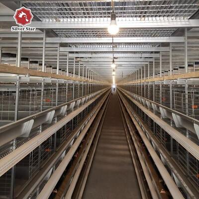 Hot-Dip Galvanized H-Type Layer Battery Chicken Cage with Automatic Feeding for Large Poultry Farm Projects