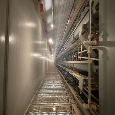 Bateria Caixas de frango resistente à corrosão Equipamento de avicultura duradouro adequado para grandes explorações