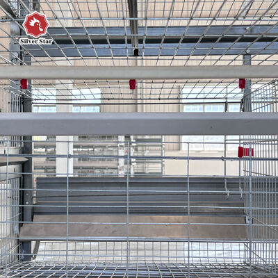 Gaiolas de bateria de camada automática de alta densidade tipo H. 3-8 níveis