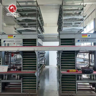 Increase Egg Production with Our Layer Cage System Battery Cage for Layer Chickens