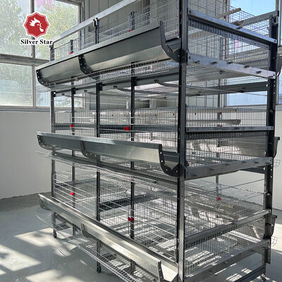 Caixa de galinha de bateria Caixa de camadas múltiplas com sistemas automáticos de remoção de esterco e recolha de ovos para gestão de explorações avícolas