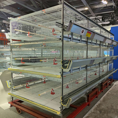 Automated H-Type Broiler Cage System Hot-Dip Galvanized High-Density Commercial Poultry Farming Equipment
