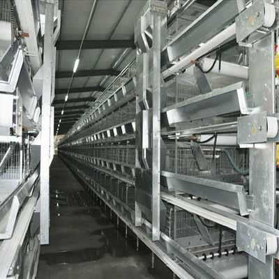 Sistema Automático de Gaiolas para Baterias Tipo H com Galvanização a Quente e Design Modular Empilhável para Avicultura Comercial