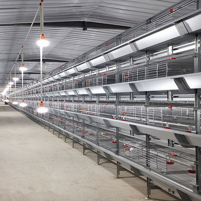 Sistema totalmente automático de gaiola de frango de frango tipo H com alimentação e limpeza automática para fazendas comerciais de frango de carne de alta densidade