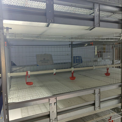 Automated H-Type Meat Broiler Cage System - Hot-Dip Galvanized High-Density Commercial Poultry Farming Equipment