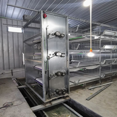 Sistema de Gaiola de Bateria Automática para Frangos de Corte Tipo H com Galvanização a Quente e Comedouro Automático para Granjas de Aves de Alta Densidade