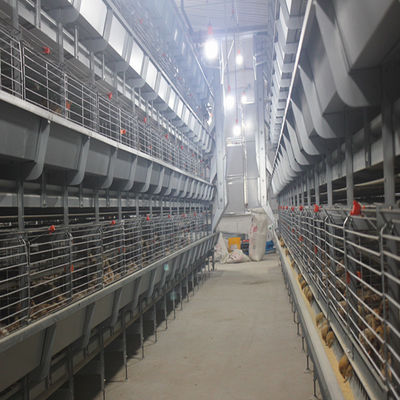 Sistema de Gaiola Automática para Poedeiras Tipo H com Vida Útil de 15-20 Anos para Avicultura Comercial - Totalmente Automatizado e Galvanizado a Quente