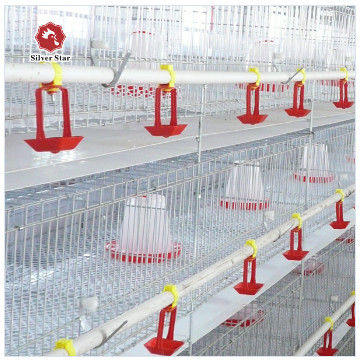 Sistema de gaiola de bateria para frangos de corte tipo A para avicultura galvanizada a quente tipo A Fabricante de gaiolas de frangos de corte