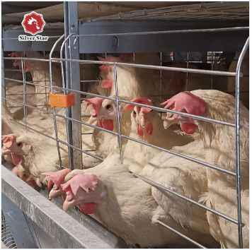 Gaiola de Camadas Tipo H Comercial de Fornecedor e Fabricante Confiável | Entrega Segura e Carregamento de Contêiner