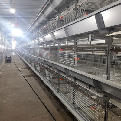 260 Birds Hunsbandry 6 Tiers ZnAl Poultry Cage For Broiler