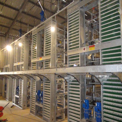 Sistema de Gaiola de Bateria para Frangos de Corte Totalmente Automático Tipo H com Estrutura Galvanizada a Quente para Fazendas Comerciais de Frangos de Corte de Alta Densidade