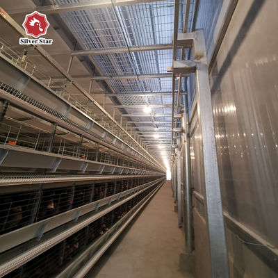 Projeto de gaiola de bateria de camada do tipo H chave na mão Solução para mais de 50.000 fazendas de frangos